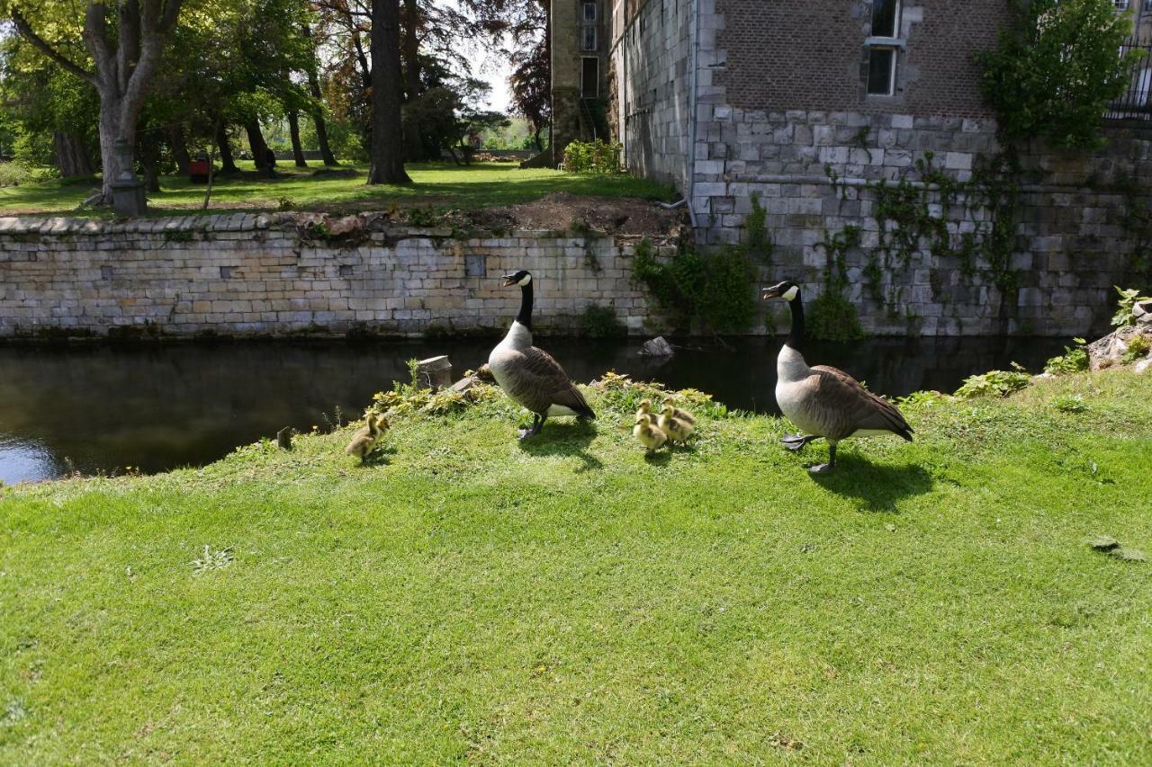 B & B Kasteelhoeve Borgharen - マーストリヒト エクステリア 写真